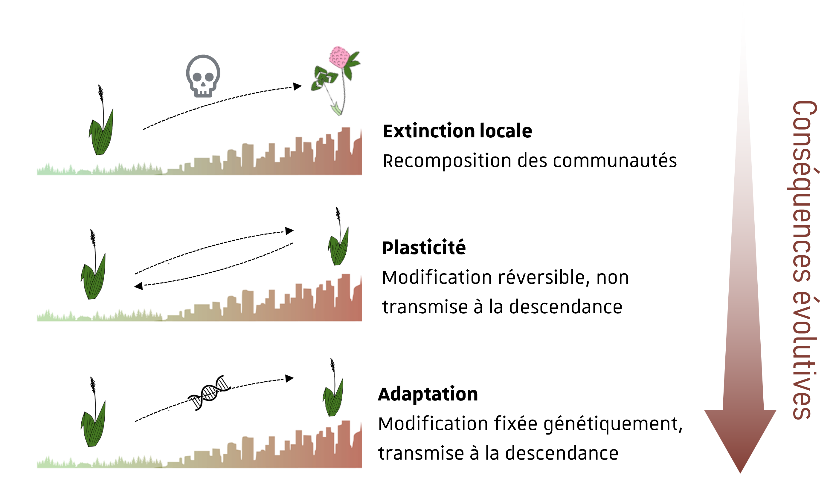 3 hypothèses de recherche
