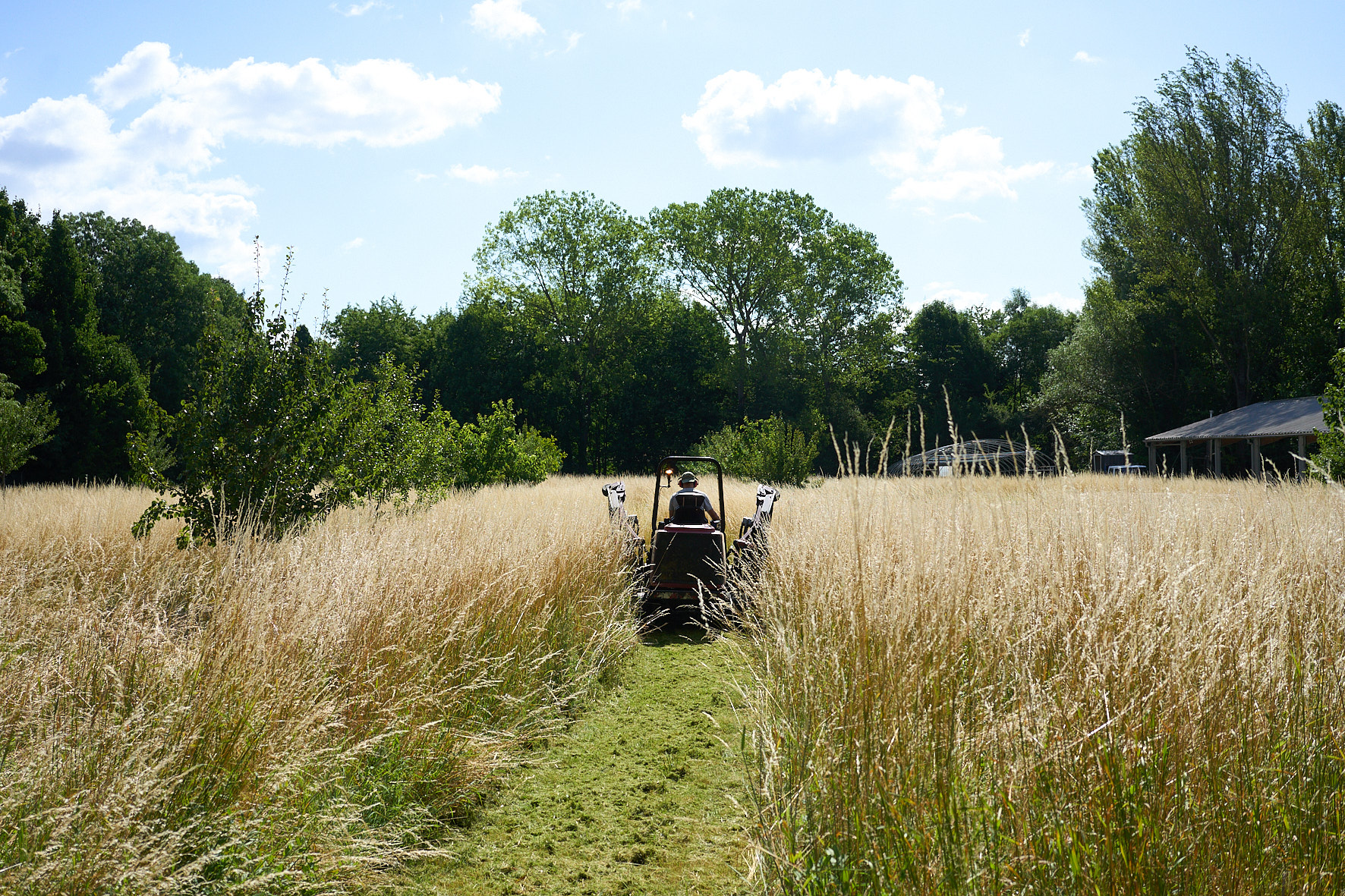 Fauche d'une prairie